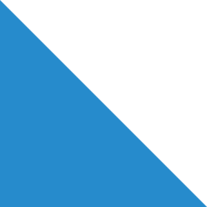 Bandiera del Cantone Zurigo
