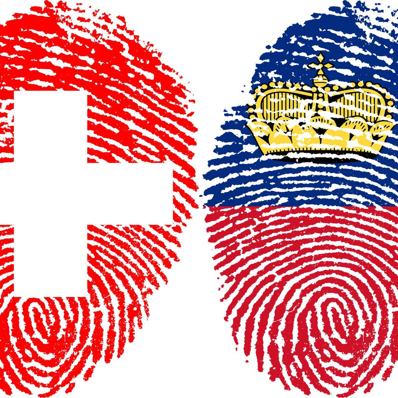Svizzera e Liechtenstein intendono lasciare un'impronta comune
