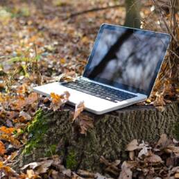 Servizi finanziari e ambiente dovranno essere sempre più compatibili