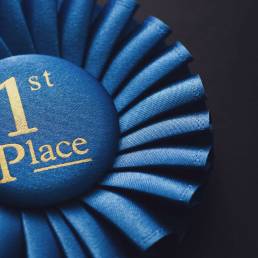 Grande concorrenza per il 