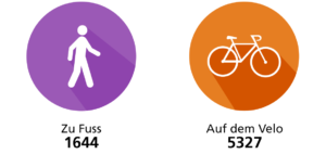 Incidenti di pedoni e biciclette in Svizzera nel 2020 (lingua tedesca)