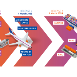 La grafica del sistema di verifica doganale 