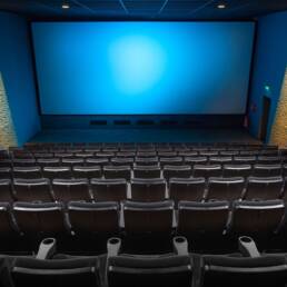 La platea di una sala cinematografica