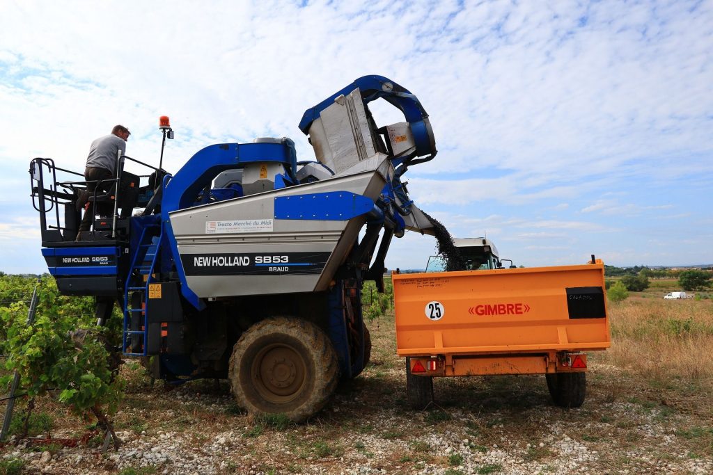 La vendemmia nella Confederazione Elvetica