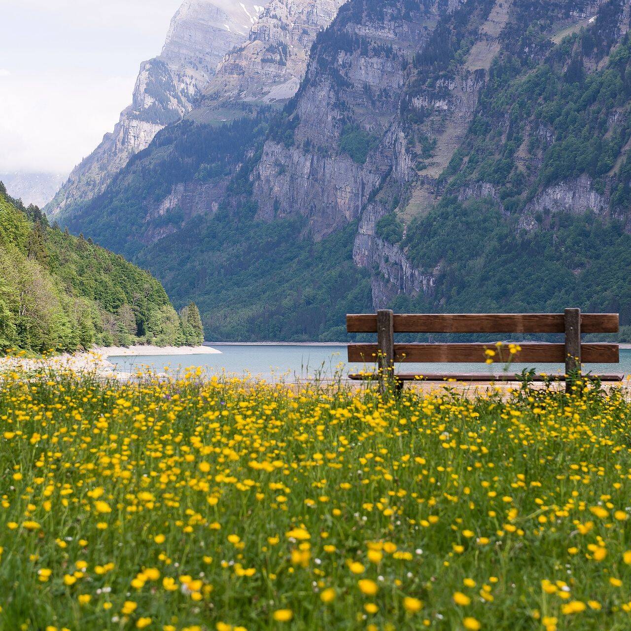 Le campagne di Ginevra vicino al lago Lemano