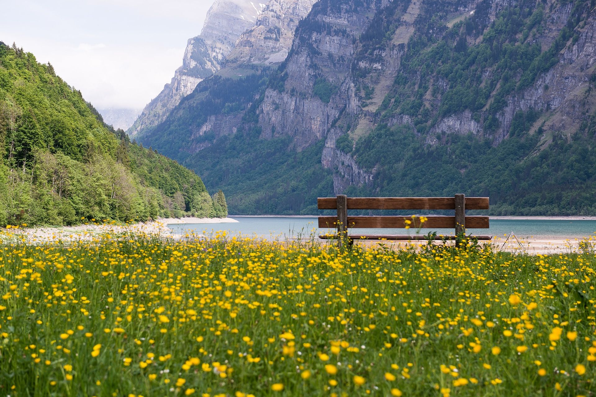 Le campagne di Ginevra vicino al lago Lemano