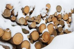 Tronchi di legno coperti di neve in Svizzera