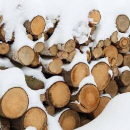 Tronchi di legno coperti di neve in Svizzera
