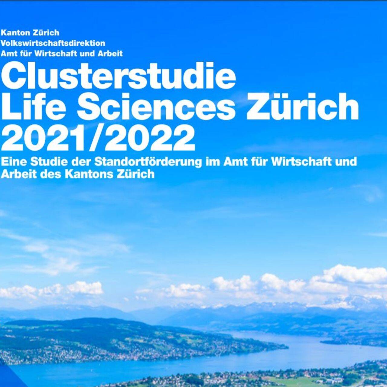 La copertina dello studio