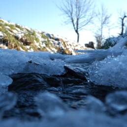 Limpida acqua di torrente in montagna