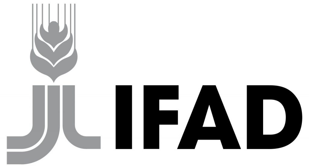 Il logotipo del Fondo Internazionale per lo Sviluppo Agricolo