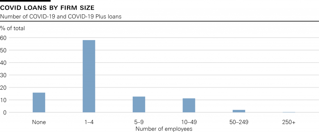 Prestiti COVID per dimensione dell'impresa