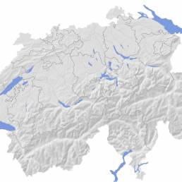 Una cartina geografica della Svizzera con i rilievi montuosi
