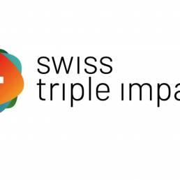 Il logotipo del progetto