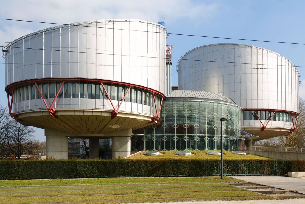 La Corte Europea dei Diritti dell'Uomo e delle Libertà Fondamentali di Strasburgo
