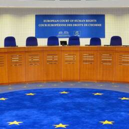 La Corte Europea dei Diritti dell'Uomo e delle Libertà Fondamentali di Strasburgo