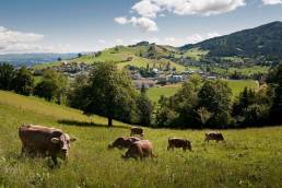 ll territorio del municipio di Schwarzenberg nel Canton Lucerna