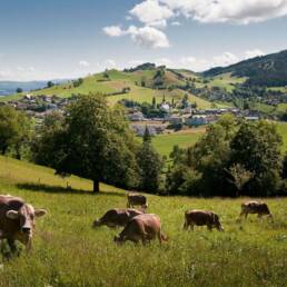 ll territorio del municipio di Schwarzenberg nel Canton Lucerna
