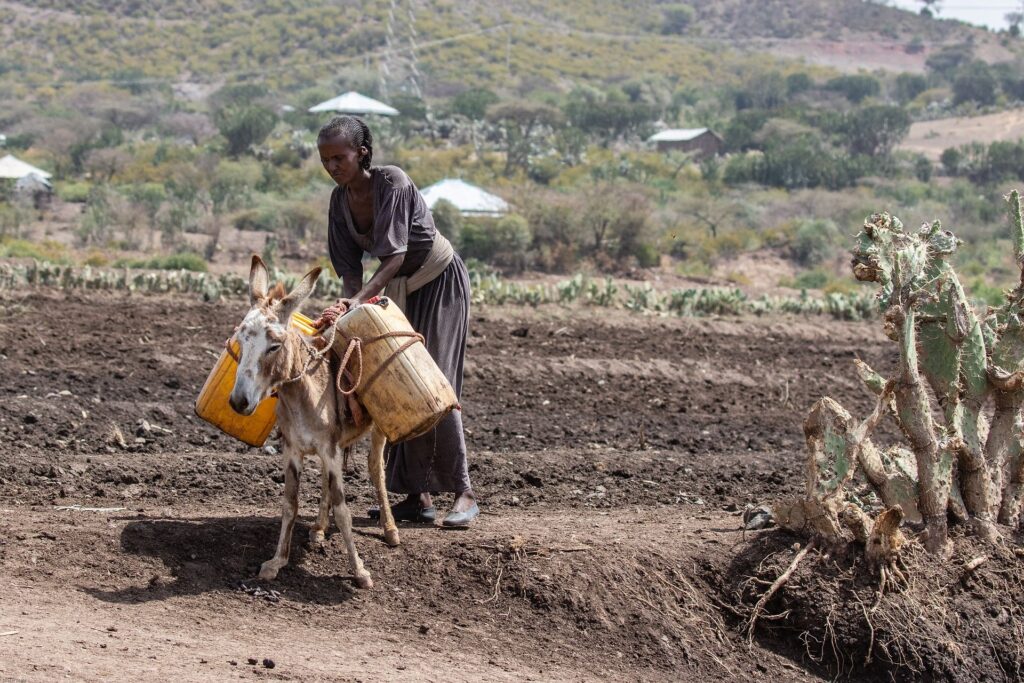 Povere coltivazioni nelle campagne dell'Etiopia