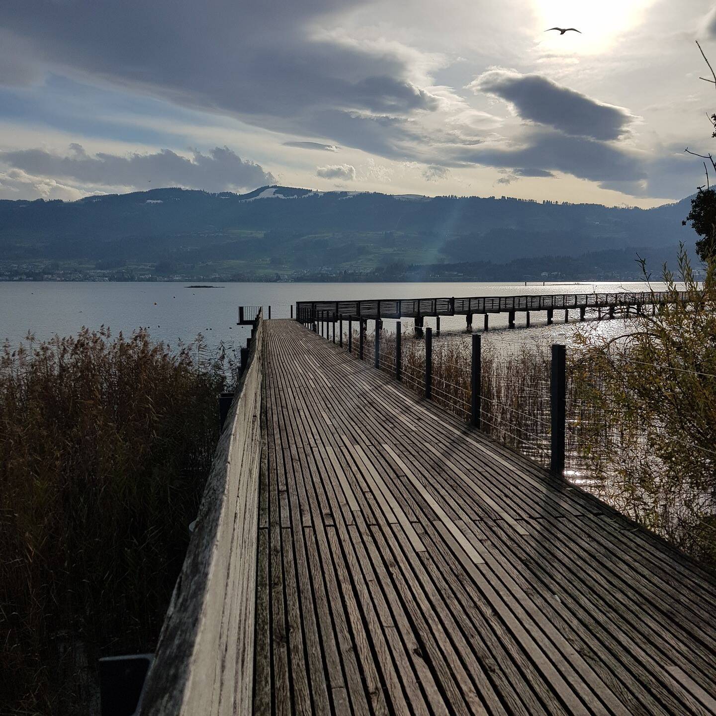 Rapperswil-Hurden