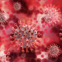 Coronavirus