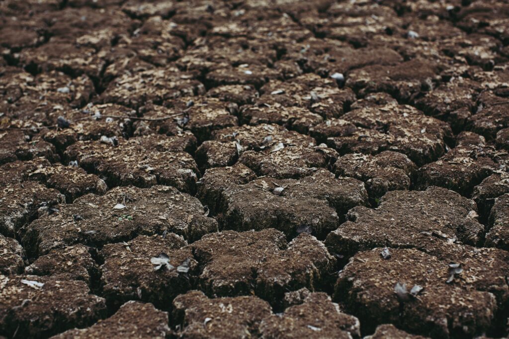 Dry soil due to drought Photo by Markus Spiske on Unsplash