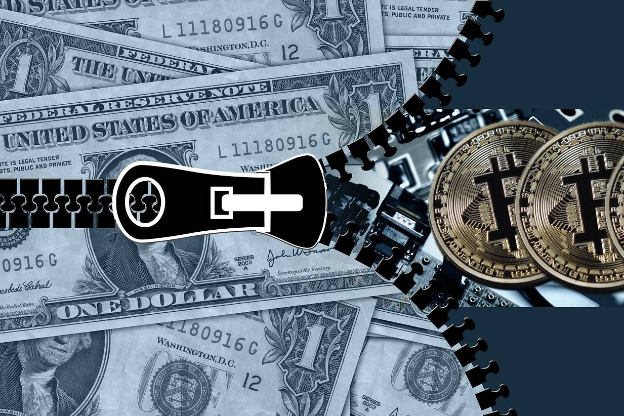 Dollari in bitcoin Photo by Gerd Altmann on Pixabay