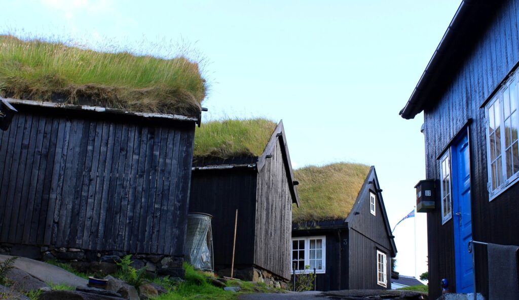 Alcune case tipiche delle isole Faroe con tetto in erba Photo by T. H. Jensen on Pixabay Assorbono l’acqua piovana, riducono i costi del riscaldamento invernale e del condizionamento estivo, forniscono isolamento, e sono di lunga durata.