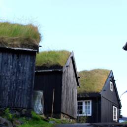 Alcune case tipiche delle isole Faroe con tetto in erba Photo by T. H. Jensen on Pixabay Assorbono l’acqua piovana, riducono i costi del riscaldamento invernale e del condizionamento estivo, forniscono isolamento, e sono di lunga durata.