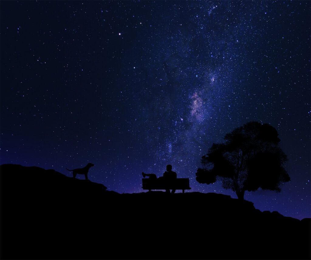 Una coppia osserva le stelle Photo by Vanesa on Pixabay