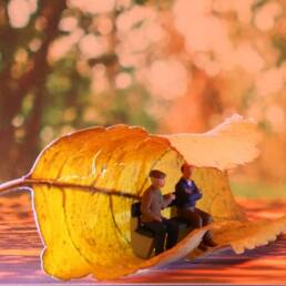 Seniors Image by Wilfried Pohnke from Pixabay