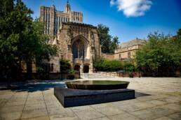 Yale university Image by Pixabay