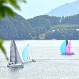 Meggen (LU) - Lake Lucern Image by Jozsef Farago from Pixabay