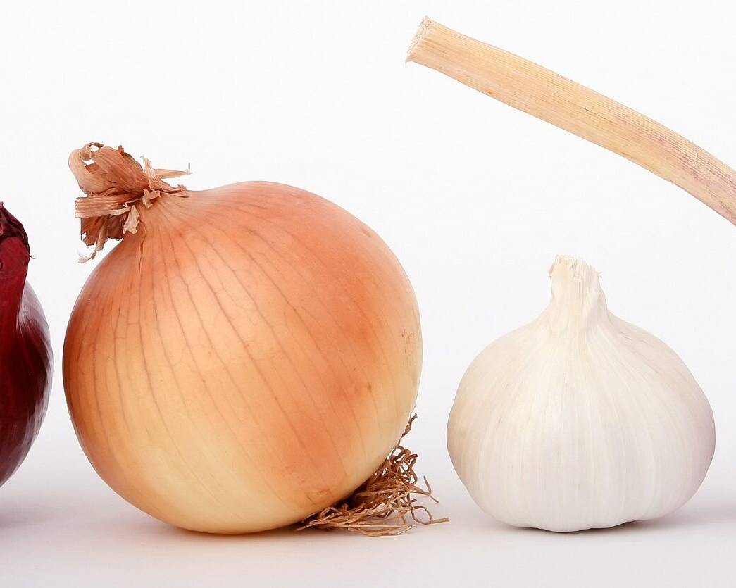 Onions and garlics Image by Robert Owen-Wahl from Pixabay
