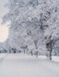 L’uomo sulla neve