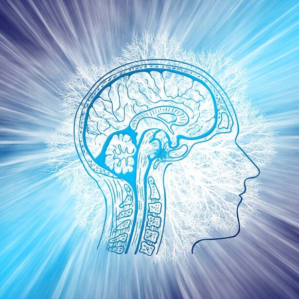 intelligence Image by Gerd Altmann from Pixabay