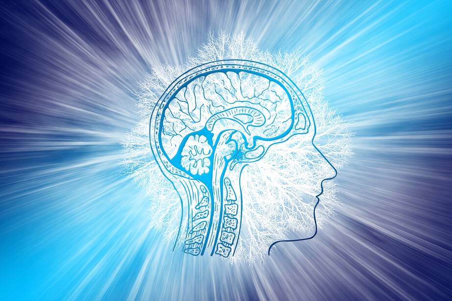intelligence Image by Gerd Altmann from Pixabay