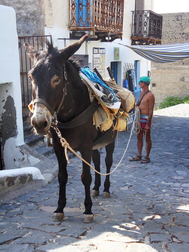 Ginostra - Isola di Stromboli Image by Salvo Cannizzaro, CC BY-SA 3.0, via Wikimedia Commons